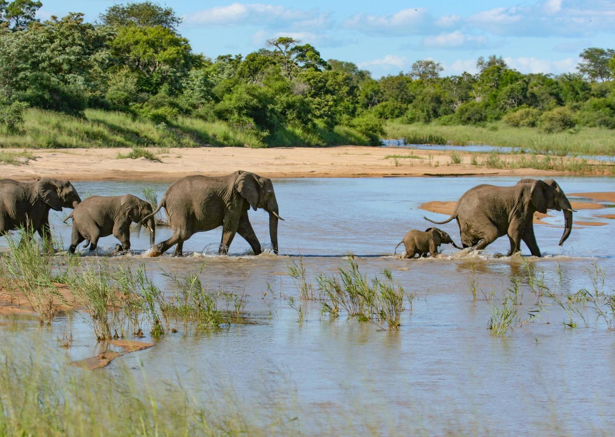Mjejane Bush Camp By Dream Resorts Hectorspruit Экстерьер фото